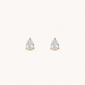 Aureá 7MM Earrings Gold