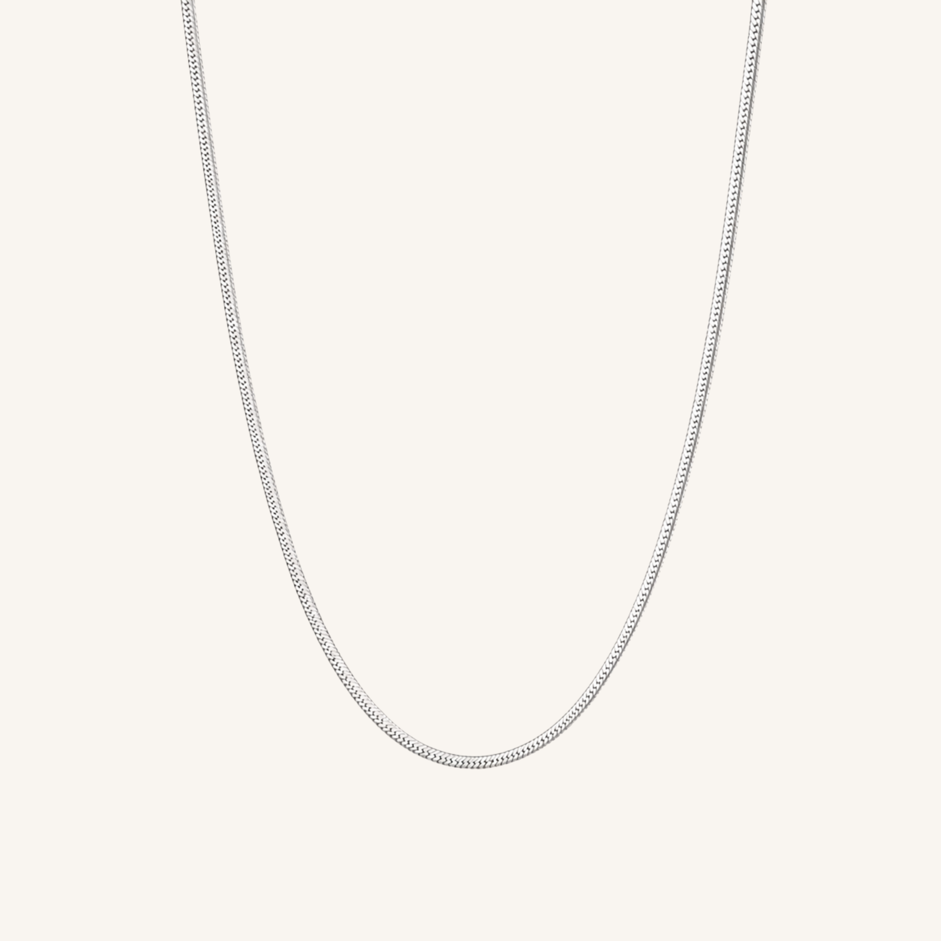 Snake Necklace Silver