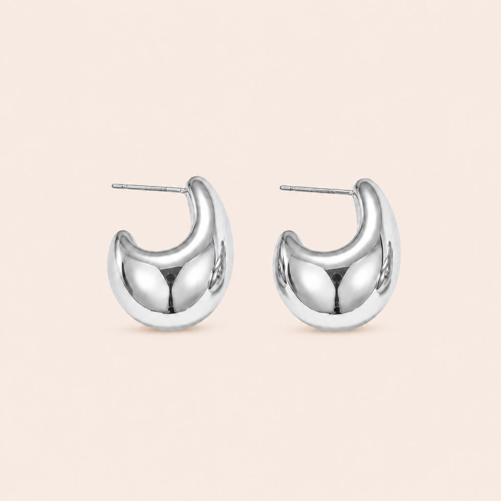 Drop Earrings Silver