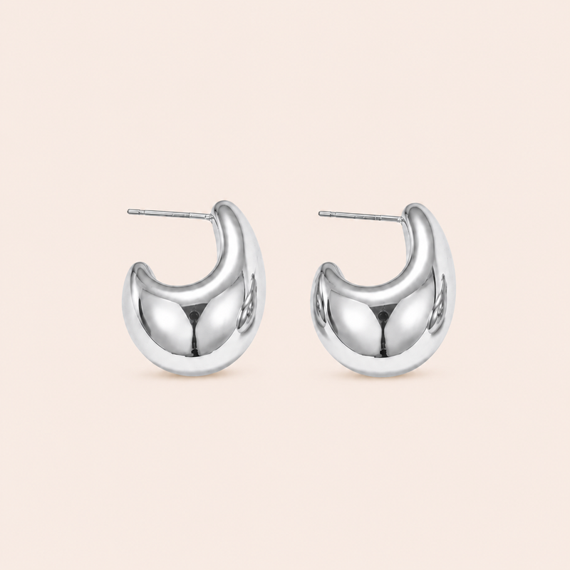 Drop Earrings Silver