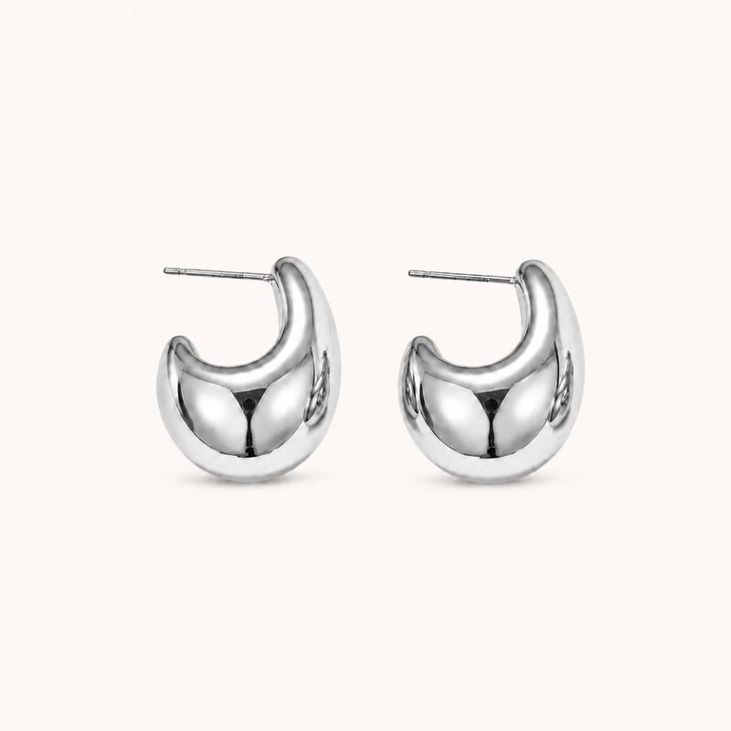 Drop Earrings Silver